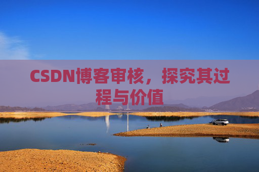 CSDN博客审核,探究其过程与价值